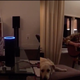 I’m the dog.
